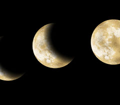 八馬登庵の鑑定室